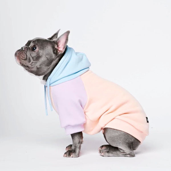 Moletom de algodão doce para cachorro