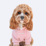 Moletom Essencial para Cachorros - Rosa
