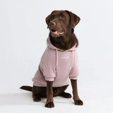 Casaco com capuz Essential Dog - Purple Taupe