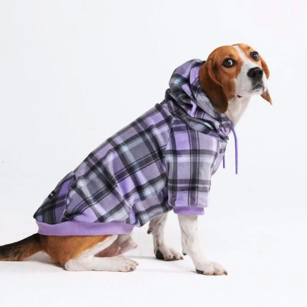 Moletom xadrez roxo para cachorro