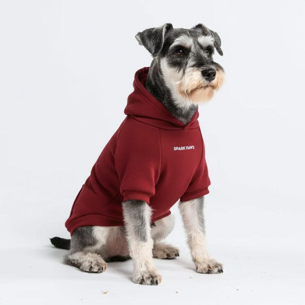 Casaco com capuz Essential Dog - Borgonha