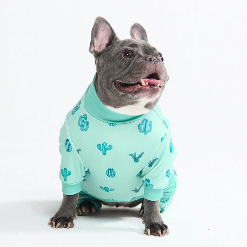 Cactus PJ