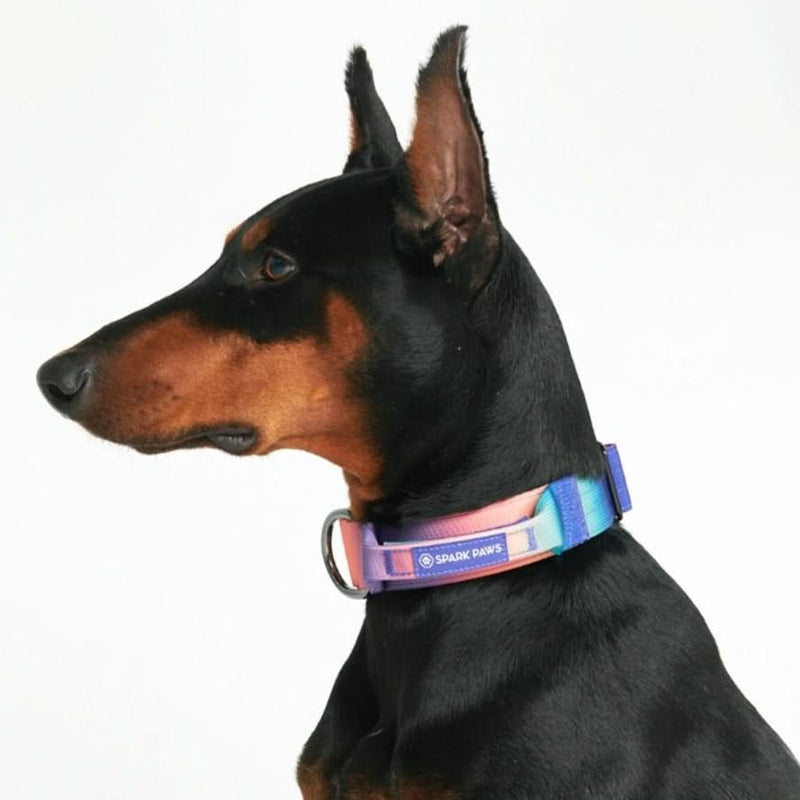 Coleira Tática para Cachorros - Caleidoscópio (2"/5cm)