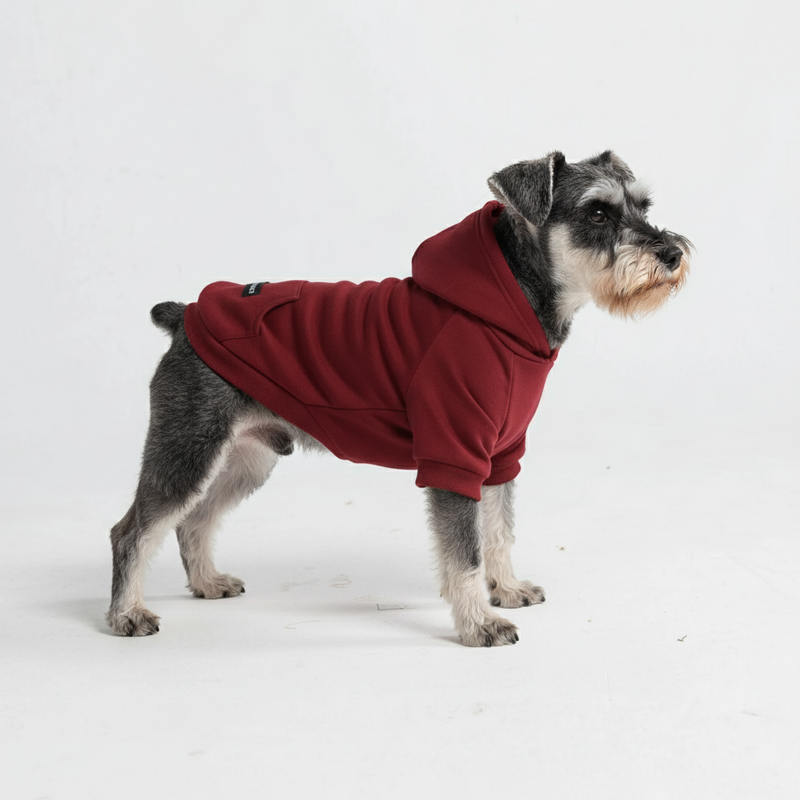 Casaco com capuz Essential Dog - Borgonha
