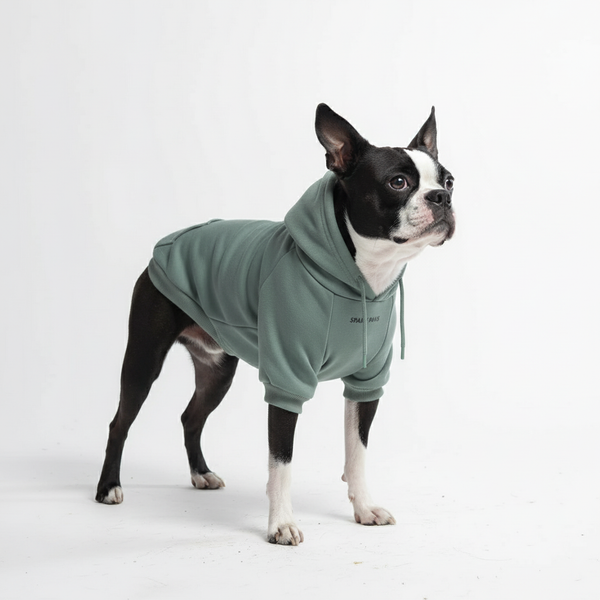 Moletom Essencial para Cachorros - Azul-petróleo