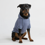 Moletom Essencial para Cachorros - Azul Cinza