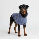 Moletom Essencial para Cachorros - Azul Cinza