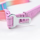 Pastel Icing Neoprene Leash