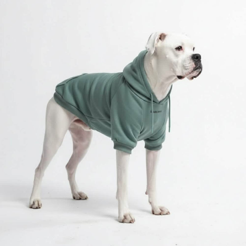 Moletom Essencial para Cachorros - Azul-petróleo