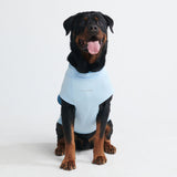 Sunblock Dog T-Shirt - Blue