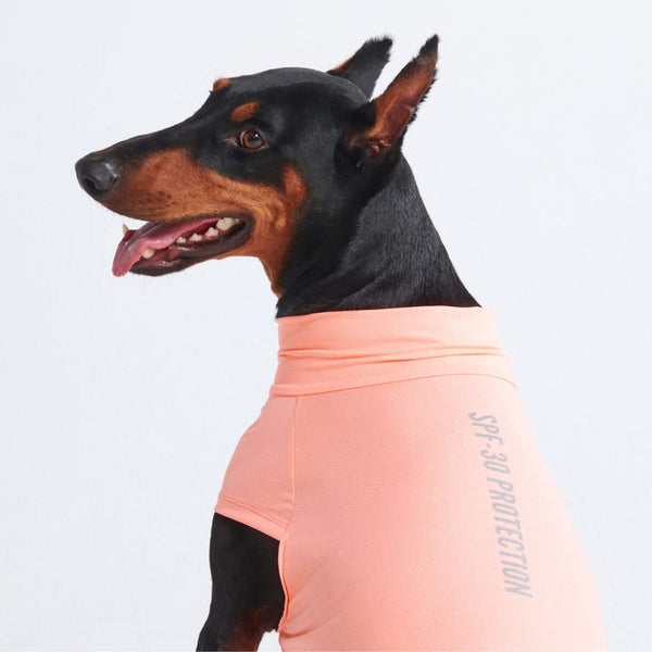 Sunblock Dog T-Shirt - Peach