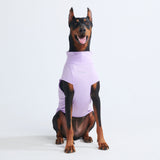 Sunblock Dog T-Shirt - Purple