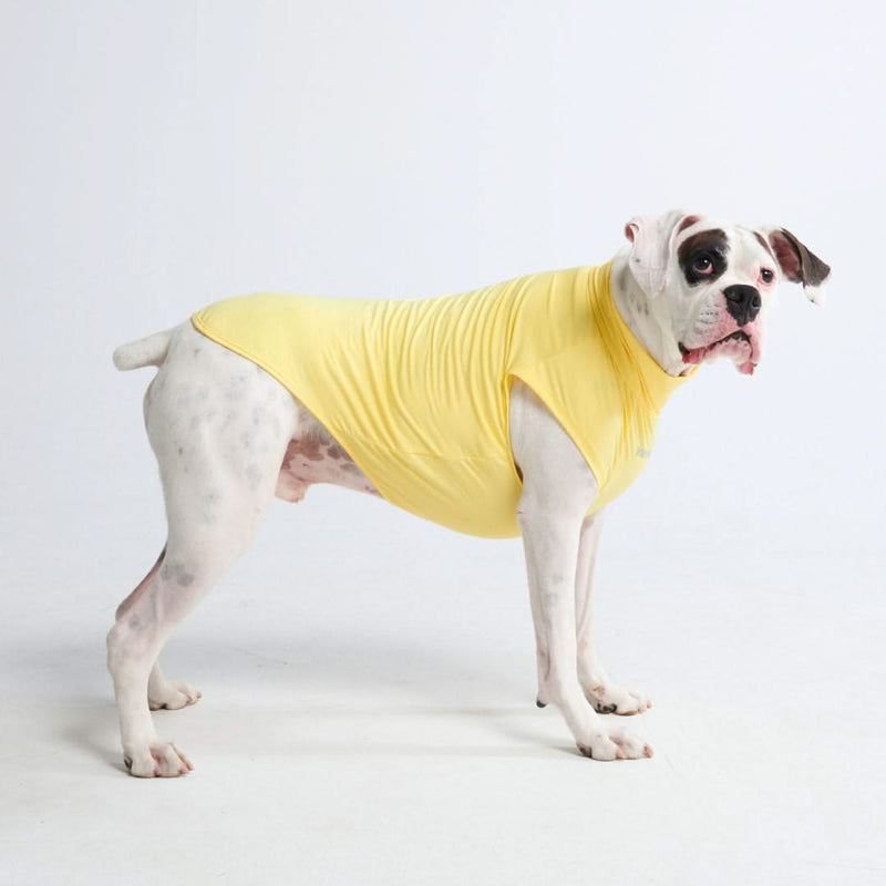 Sunblock Dog T-Shirt - Yellow