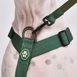 Arnês para cães sem puxão com controle de conforto - Verde