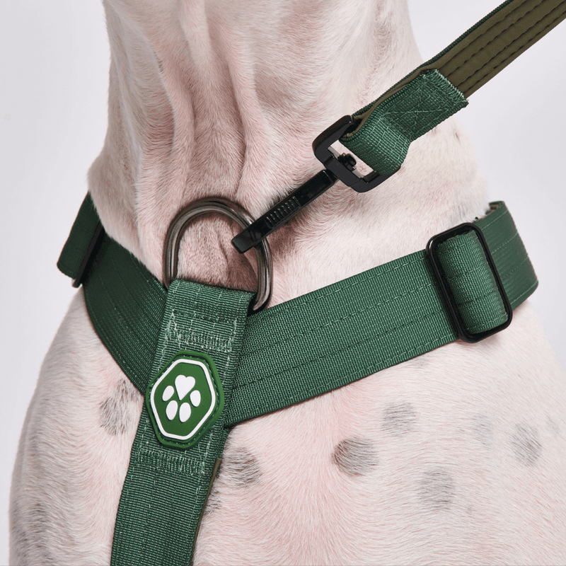 Arnês para cães sem puxão com controle de conforto - Verde