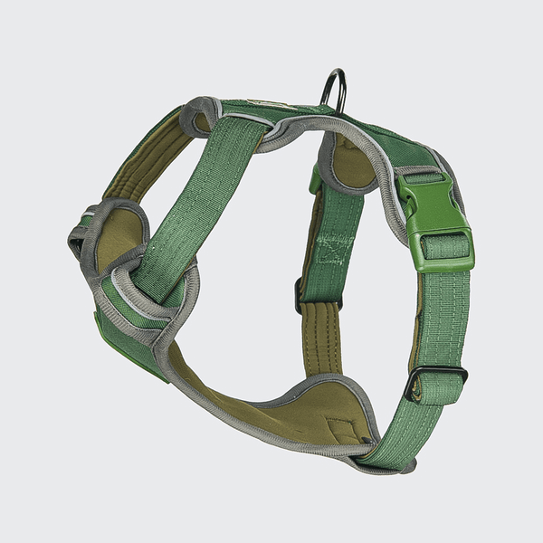Arnês Comfort Control - Verde - [TAMANHO P] cães até 20kg/45lb