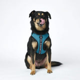 Arnês ultramacio para roupas esportivas - Cães azuis [tamanho XS] de até 5 kg/10 lbs