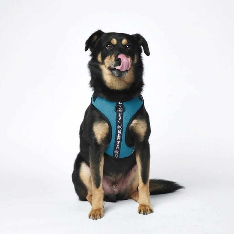 Arnês ultramacio para roupas esportivas - Cães azuis [tamanho XS] de até 5 kg/10 lbs