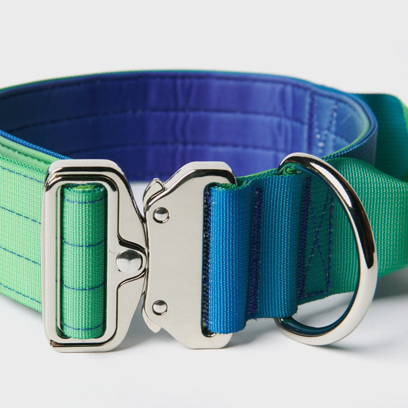 Conjunto de coleiras táticas para cães - Lime Wave (2"/5cm)