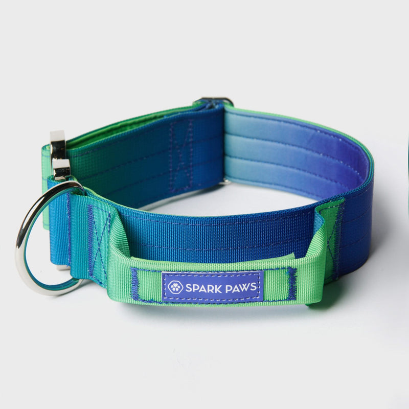 Conjunto de coleiras táticas para cães - Lime Wave (2"/5cm)
