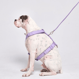 Arnês para cães sem puxão com controle de conforto - Lilás