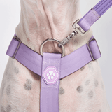 Arnês para cães sem puxão com controle de conforto - Lilás