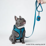 Arnês ultramacio para roupas esportivas - Cães azuis [tamanho XS] de até 5 kg/10 lbs