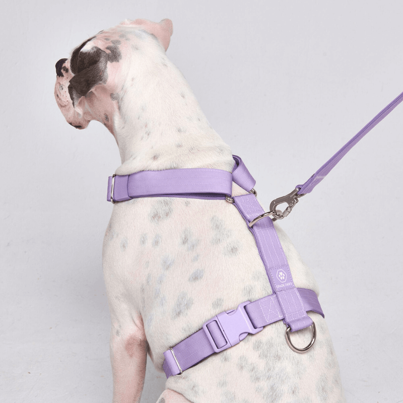 Arnês para cães sem puxão com controle de conforto - Lilás