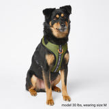 Arnês para cães ultramacio para roupas esportivas - Verde