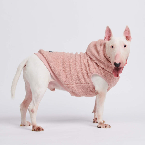 Jaqueta Teddy Sherpa Dog - Rosa