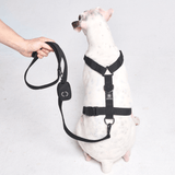 Conjunto de arnês para cães sem puxão com controle de conforto - Preto
