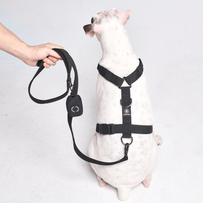 Conjunto de arnês para cães sem puxão com controle de conforto - Preto