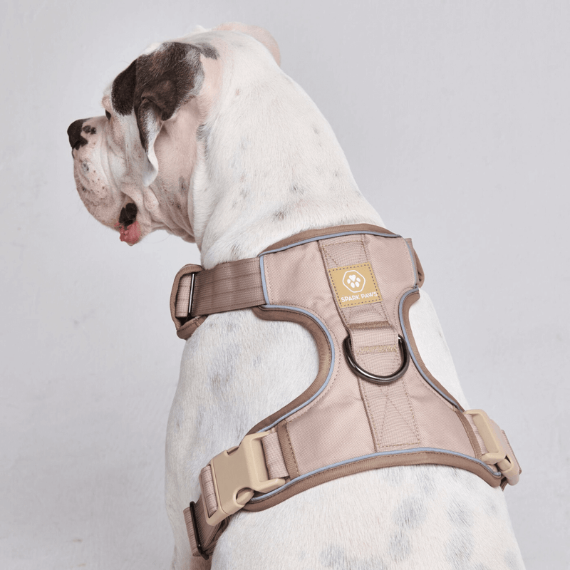Arnês de controle de conforto - Tan - [SIZE S] cães até 20 kg/45 lb
