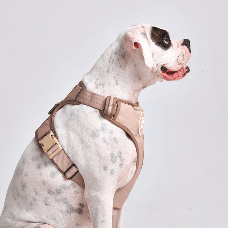 Arnês de controle de conforto - Tan - [SIZE S] cães até 20 kg/45 lb