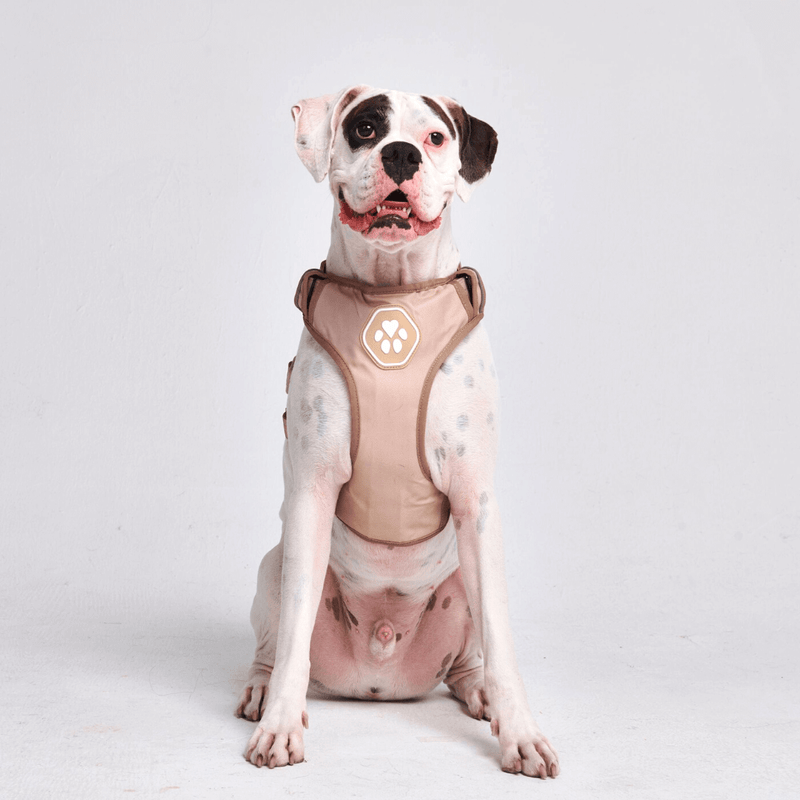 Arnês de controle de conforto - Tan - [SIZE S] cães até 20 kg/45 lb