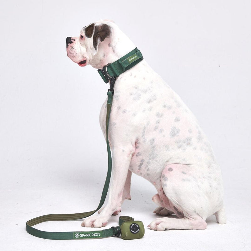 Conjunto de coleiras táticas para cães - verde militar (2"/5cm)