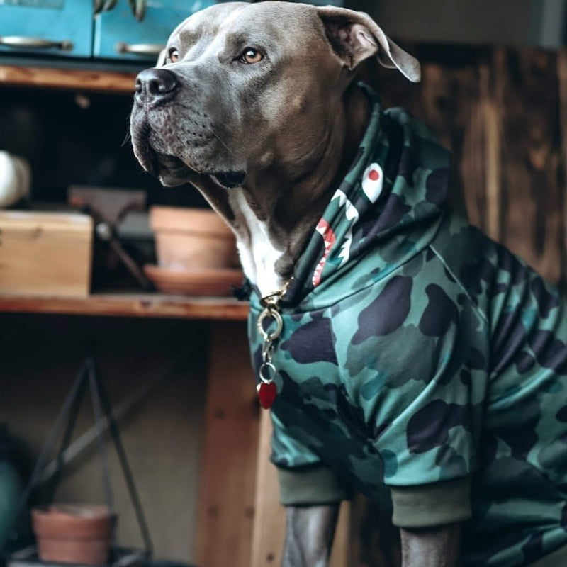 Moletom Tubarão Monstro Cachorro - Verde Camuflado