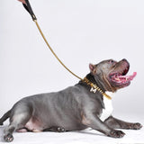 Coleira de cachorro dourada de link cubano