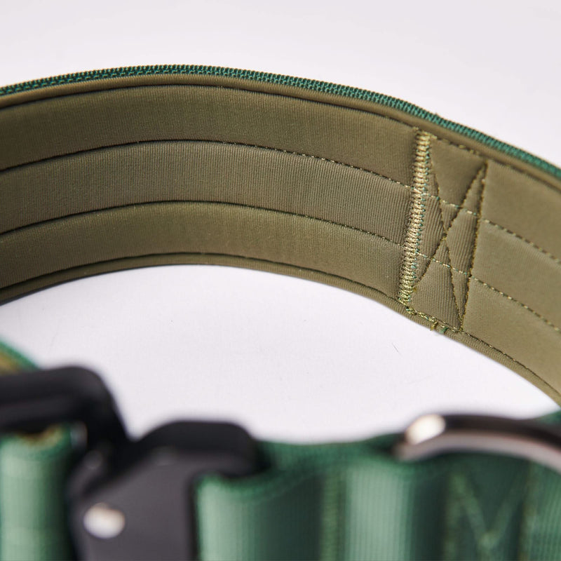 Conjunto de coleiras táticas para cães - verde militar (2"/5cm)