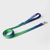 Conjunto de arreios para cães sem puxão com controle de conforto - Lime Wave