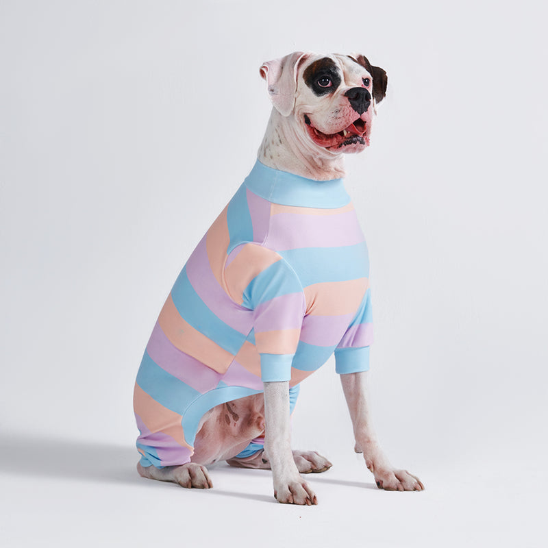 Pijama para Cachorro - Algodão Doce