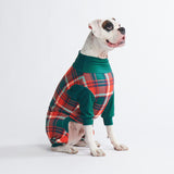 Pijama de Cachorro - Xadrez Verde e Vermelho
