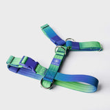 Conjunto de arreios para cães sem puxão com controle de conforto - Lime Wave