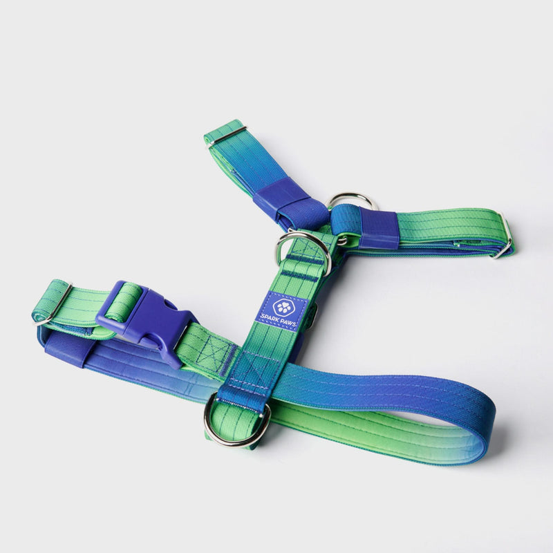 Conjunto de arreios para cães sem puxão com controle de conforto - Lime Wave