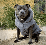 Jaquetas para cães Teddy Sherpa