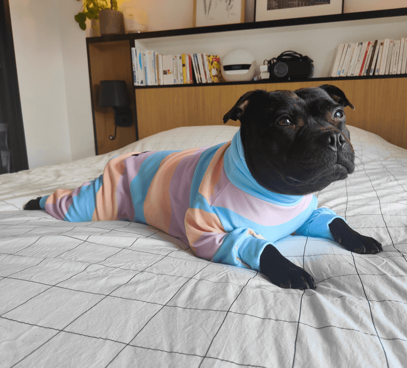 Pijama para Cachorro - Algodão Doce