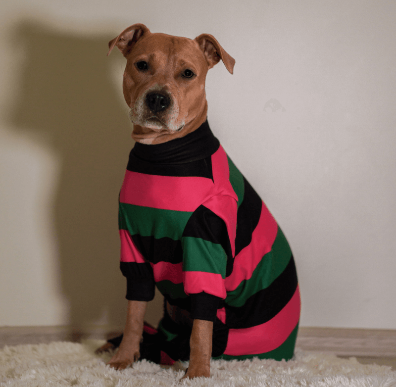 Pijama de Cachorro - Preto Verde Rosa
