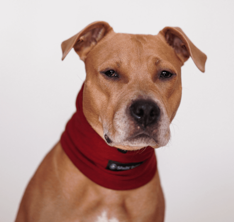 Protetor protetor de ouvido para cães calmante para ansiedade - Vermelho