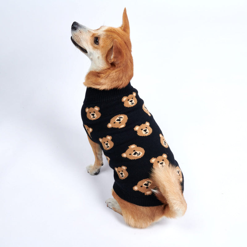 Suéter de malha para cachorro com ursinho de pelúcia quebrado - Preto