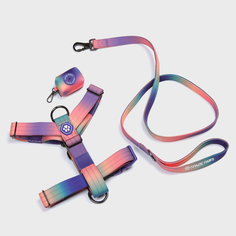 Conjunto de arreios para cães sem puxão com controle de conforto - Caleidoscópio